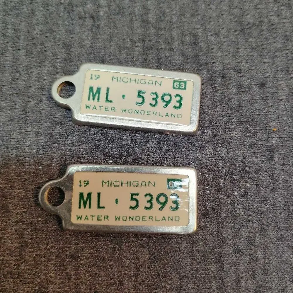 1963 Michigan License Plate Keychains DAV Lot 2 Vintage Metal Water Wonderland
